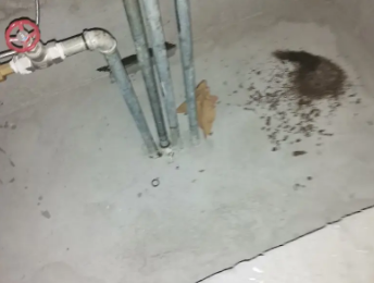 永年卫生间测漏水价格明细